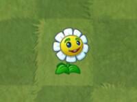 2024植物大战僵尸2国际服正版(Plants Vs Zombies 2)下载,塔防游戏,植物大战僵尸2,植物大战僵尸