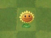 2024植物大战僵尸2国际服正版(Plants Vs Zombies 2)下载,塔防游戏,植物大战僵尸2,植物大战僵尸