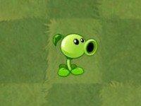 2024植物大战僵尸2国际服正版(Plants Vs Zombies 2)下载,塔防游戏,植物大战僵尸2,植物大战僵尸