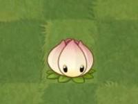 2024植物大战僵尸2国际服正版(Plants Vs Zombies 2)下载,塔防游戏,植物大战僵尸2,植物大战僵尸